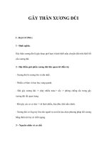 GÃY THÂN XƯƠNG ĐÙI potx