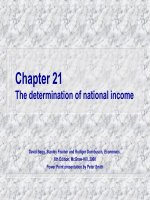 Chương 21 Việc xác định thu nhập quốc dân ppt