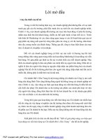 một số giải pháp nâng cao hiệu quả hoạt động xúc tiến bán hàng tại chi nhánh biti’s nha trang