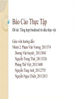 Báo cáo thực tập tổng hợp biodiesel tư dầu thực vật