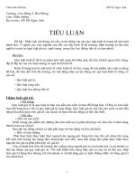 Tiểu luận các quy luật kinh tế trong triết học potx