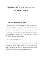 GIỚI THIỆU TỔNG QUÁT PHƯƠNG PHÁP TÁC ĐỘNG CỘT SỐNG pdf