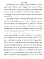 CHƯƠNG I: KHÁI QUÁT CHUNG VỀ TÌNH HÌNH XUẤT KHẨU GIẦY DÉP CỦA VIỆT NAM _P1 docx