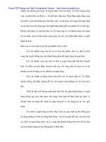 Tiên phong trong việc không giới hạn đối tượng cho vay đối với các hình thức tín dụng có kì hạn tại Agribank - 2 pps