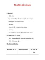 Giáo án môn Toán lớp 6 : Tên bài dạy : Tia phân giác của góc pps