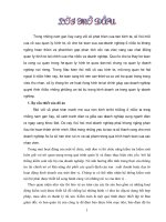 hoàn thiện các thủ tục kiểm soát cho chu trình doanh thu và chi phí tại nhà máy thuốc lá khánh hòa