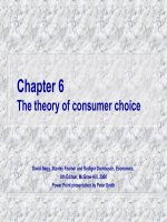 Chương 6 Lý thuyết về sự lựa chọn của người tiêu dùng doc