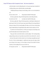 Thực trạng kinh doanh các ngành điện ảnh nghệ thuật và hiệu quả kinh doanh tại ngành này thông qua các minh chứng tài chính - 2 ppt