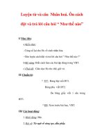 Giáo án Tiếng Việt lớp 3 : Tên bài dạy : Luyện từ và câu Nhân hoá. Ôn cách đặt và trả lời câu hỏi “ Như thế nào” pot