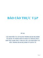 Đề tài: CÁC NGUYÊN TẮC ÁP DỤNG TRONG QUAN HỆ KINH TẾ QUỐC TẾ PHÂN TÍCH CƠ HỘI VÀ THÁCH THỨC KHI VIỆT NAM THỰC THI ĐẦY ĐỦ CÁC NGUYÊN TẮC NÀY TRONG QUAN HỆ KINH TẾ QUỐC TẾ ppsx