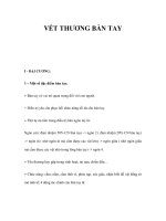 VẾT THƯƠNG BÀN TAY pdf