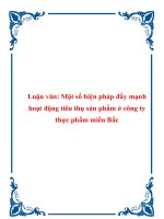 Luận văn: Một số biện pháp đẩy mạnh hoạt động tiêu thụ sản phẩm ở công ty thực phẩm miền Bắc potx