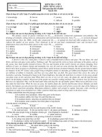 KIỂM TRA 1 TIẾT MÔN: TIẾNG ANH 12 - Mã đề: 001 docx