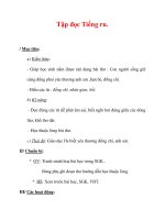 Giáo án Tiếng Việt lớp 3 : Tên bài dạy : Tập đọc Tiếng ru. ppsx