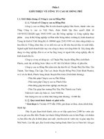 Tiểu luận quản trị doanh nghiệp CÔNG TY CAO SU ĐỒNG PHÚ