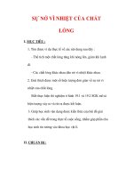 Giáo án Vật lý lớp 6 : Tên bài dạy : SỰ NỞ VÌ NHIỆT CỦA CHẤT LỎNG pdf