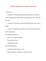 Giáo án lớp 5 môn Âm Nhạc: Học hát: Bài Hãy giữ cho em bầu trời mầu xanh docx