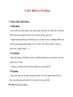 Giáo án Lịch sử lớp 6 : Tên bài dạy : VĂN HÓA CỔ ĐẠI pdf