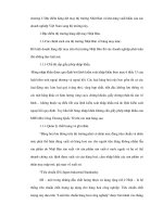 Những đạo luật cần lưu ý khi kinh doanh xuất nhập khẩu hàng dệt may vào các nước NEIs ppt