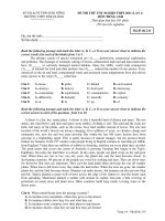 ĐỀ THI THỬ TỐT NGHIỆP THPT 2011 (LẦN 1) MÔN TIẾNG ANH - Mã đề thi 214 ppsx