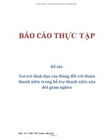Đề tài: Vai trò lãnh đạo của Đảng đối với Đoàn thanh niên trong hỗ trợ thanh niên xóa đói giảm nghèo docx
