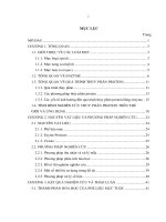 nghiên cứu quá trình thủy phân phế liệu mực bằng enzyme protease và thử nghiệm bổ sung dịch thủy phân vào thức ăn nuôi cá