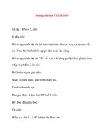 Giáo án lớp 4 môn Âm Nhạc: Ôn tập bài hát: CHIM SÁOÔn tập TĐN số 5, số 6 pptx