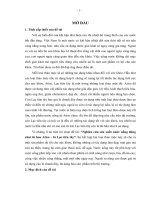 nghiên cứu sản xuất nước uống đóng chai từ hoa atiso – lá lạc tiên tây