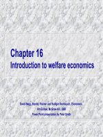 Chương 16 Giới thiệu về kinh tế phúc lợi potx