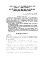 PHẪU THUẬT TẠO HÌNH BẢNG SỐNG MỚI – HIRABAYASHI CẢI BIÊN – NÉO ÉP ĐỈNH MẤU GAI VÀO ỐC KHỐI BÊN CHO BỆNH LÝ TỦY SỐNG CỔ docx