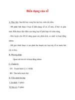 Giáo án Sinh học lớp 6 : Tên bài dạy : Biến dạng của rễ potx