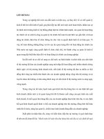 Hàng hóa nội địa và kế tóan hàng nội đia theo các chương trình kế tóan mới docx