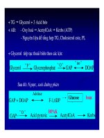 Bài giảng chuyển hóa các chất - Chuyển Hóa Lipid part 7 pot