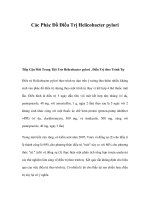Các Phác Đồ Điều Trị Helicobacter pylori pdf