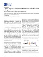 Báo cáo sinh học: 