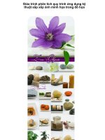 Giáo trình phân tích quy trình ứng dụng kỹ thuật sắp xếp ảnh minh họa trong đồ họa p1 pps