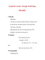 Giáo án Tiếng Việt lớp 3 : Tên bài dạy : Luyện từ và câu Từ ngữ về thể thao, dấu phẩy. ppt