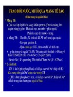 Bài giảng sinh hóa - Tr4o đổi muối và nước part 4 pps