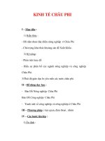 Giáo án ĐỊa lý lớp 7 : Tên bài dạy : KINH TẾ CHÂU PHI ppt