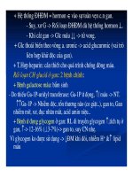 Bài giảng sinh hóa - Hóa sinh gan mật part 2 pps