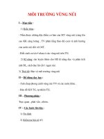 Giáo án ĐỊa lý lớp 7 : Tên bài dạy : MÔI TRƯỜNG VÙNG NÚI doc