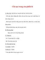 Giáo án Sinh học lớp 6 : Tên bài dạy : Cấu tạo trong của phiến lá pptx