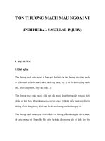 TỔN THƯƠNG MẠCH MÁU NGOẠI VI (PERIPHERAL VASCULAR INJURY) pot