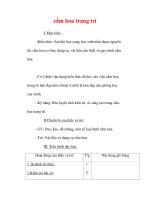 Giáo án Công nghệ lớp 6 : Tên bài dạy : cắm hoa trang trí pptx