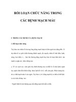 RỐI LOẠN CHỨC NĂNG TRONG CÁC BỆNH MẠCH MÁU pdf