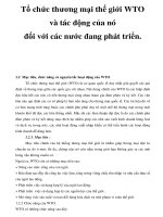 Tổ chức thương mại thế giới WTO và tác động của nó đối với các nước đang phát triển. _3 pptx