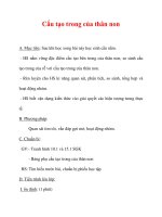 Giáo án Sinh học lớp 6 : Tên bài dạy : Cấu tạo trong của thân non docx