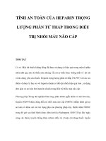 TÍNH AN TOÀN CỦA HEPARIN TRỌNG LƯỢNG PHÂN TỬ THẤP TRONG ĐIỀU TRỊ NHỒI MÁU NÃO CẤP doc