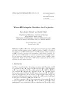 Báo cáo toán học: 