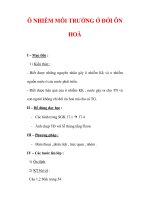 Giáo án ĐỊa lý lớp 7 : Tên bài dạy : Ô NHIỄM MÔI TRƯỜNG Ở ĐỚI ÔN HOÀ potx